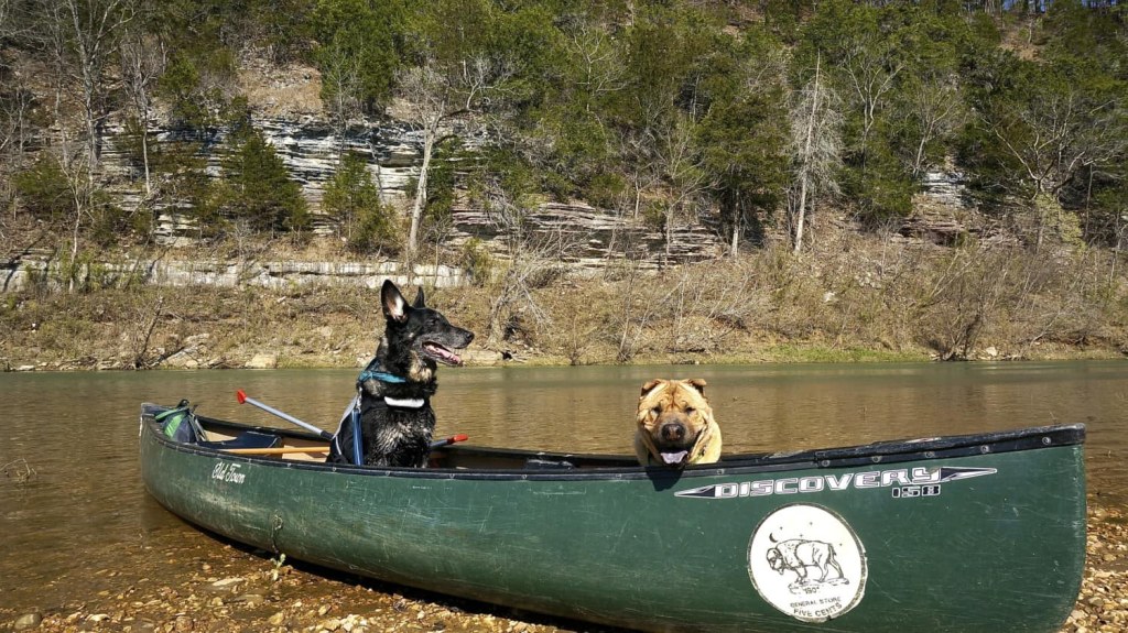 Picture of: Arkansas’ Top Pet Friendly Attraction: Buffalo National River