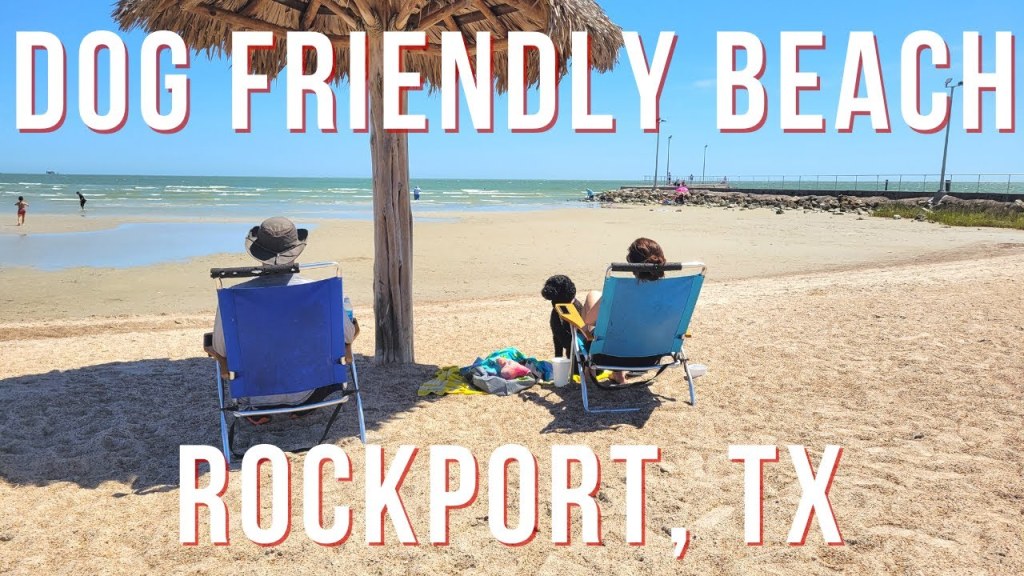 Picture of: Dog Friendly Beach in Rockport, Texas