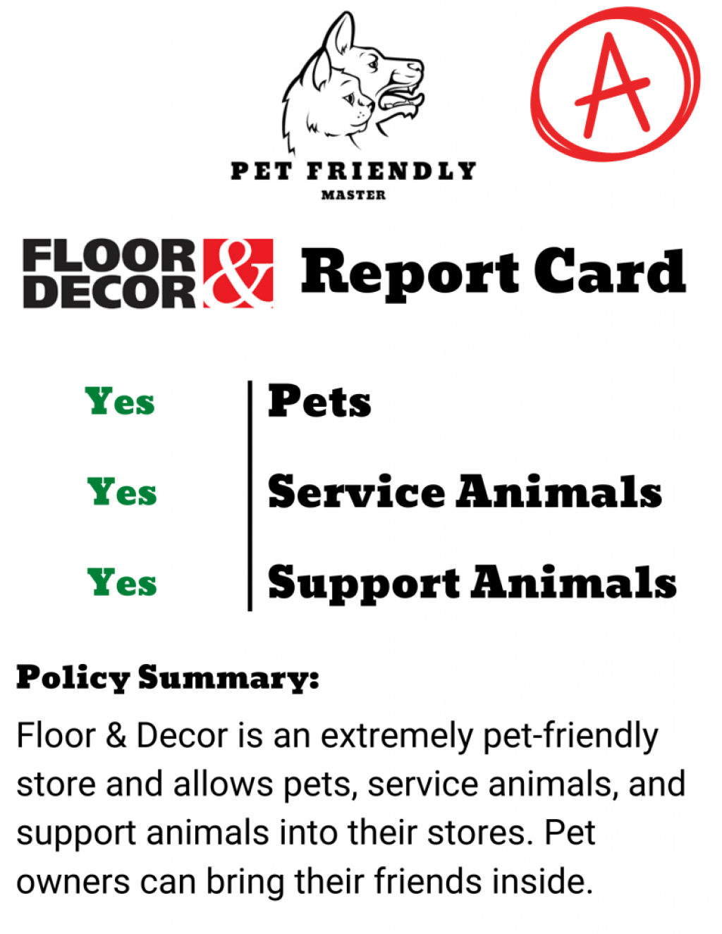 Picture of: Is Floor & Decor Pet-Friendly?  Pet Policy Explained