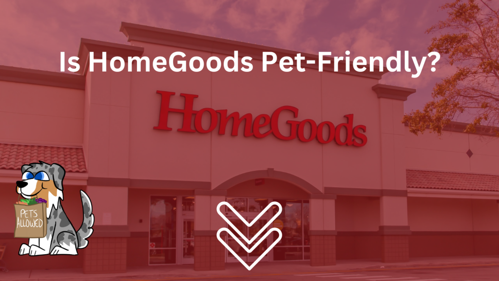 Picture of: Is HomeGoods Dog-Friendly? HomeGoods Pet Policy []