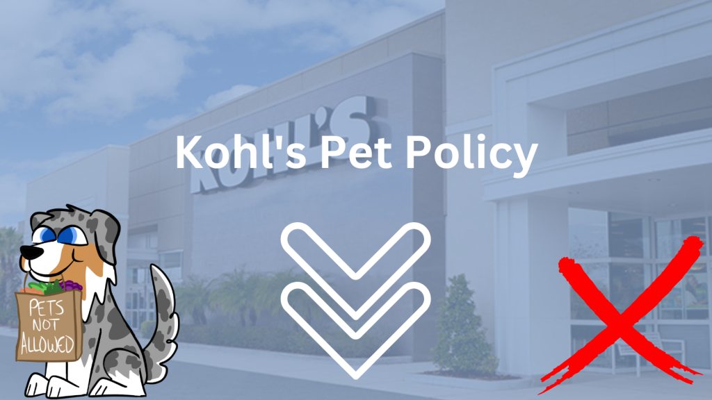 Picture of: Is Kohl’s Pet-Friendly? Kohl’s Dog Policy Explained ()