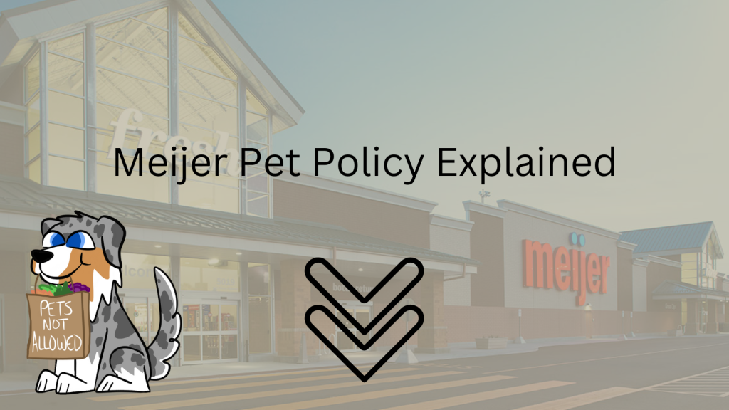 Picture of: Is Meijer Pet-Friendly? Meijer Pet Policy Explained ()