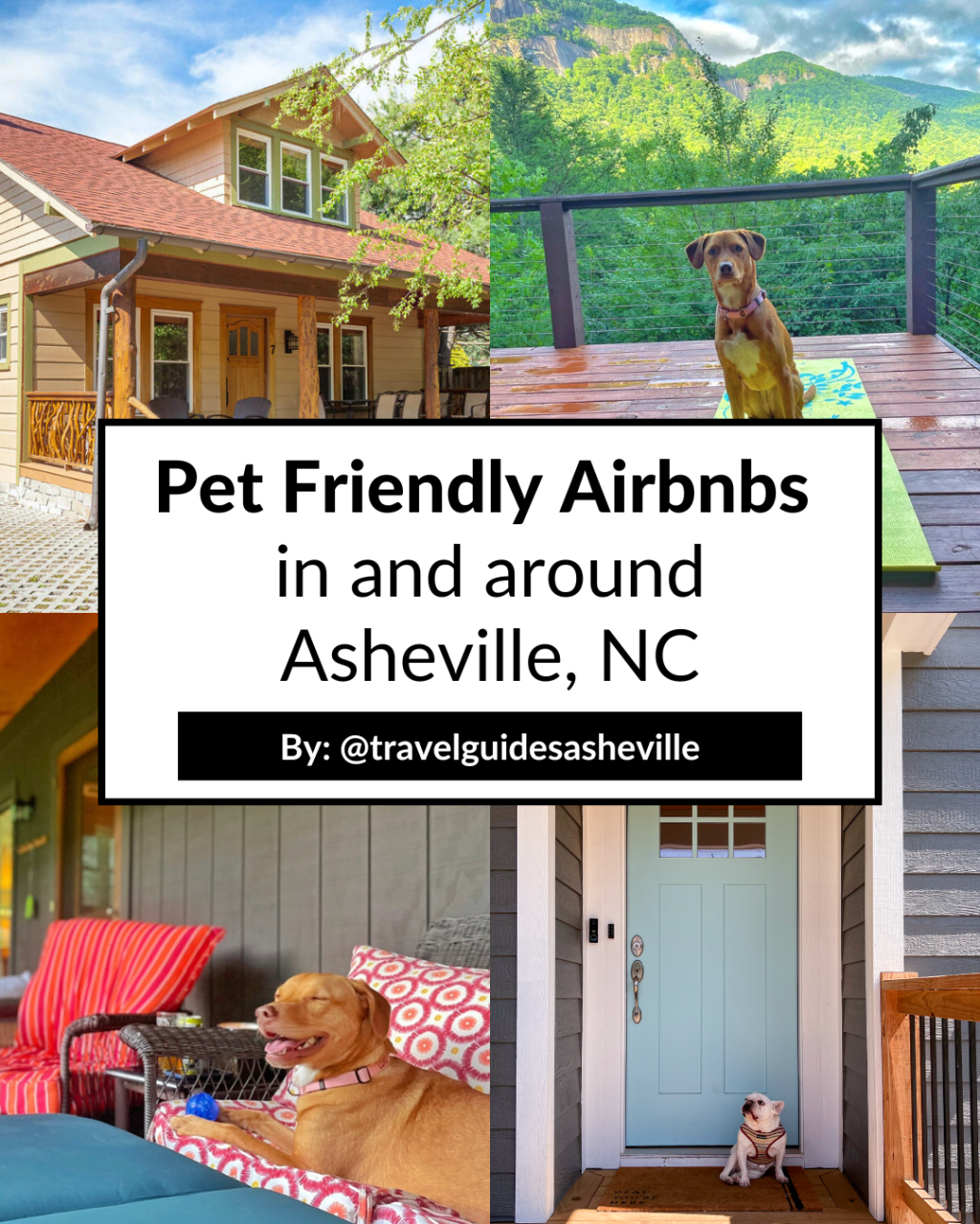 Picture of: Pet Friendly Airbnbs in and around Asheville, NC — Travel Guides