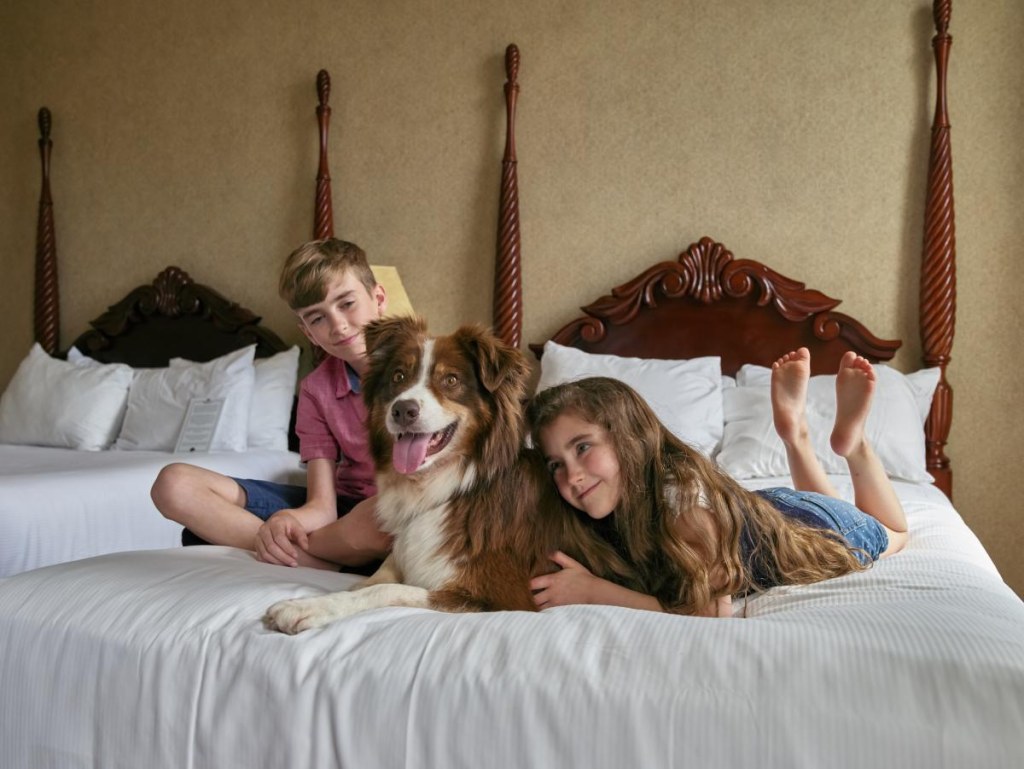Picture of: Pet Friendly Hotels In Indiana