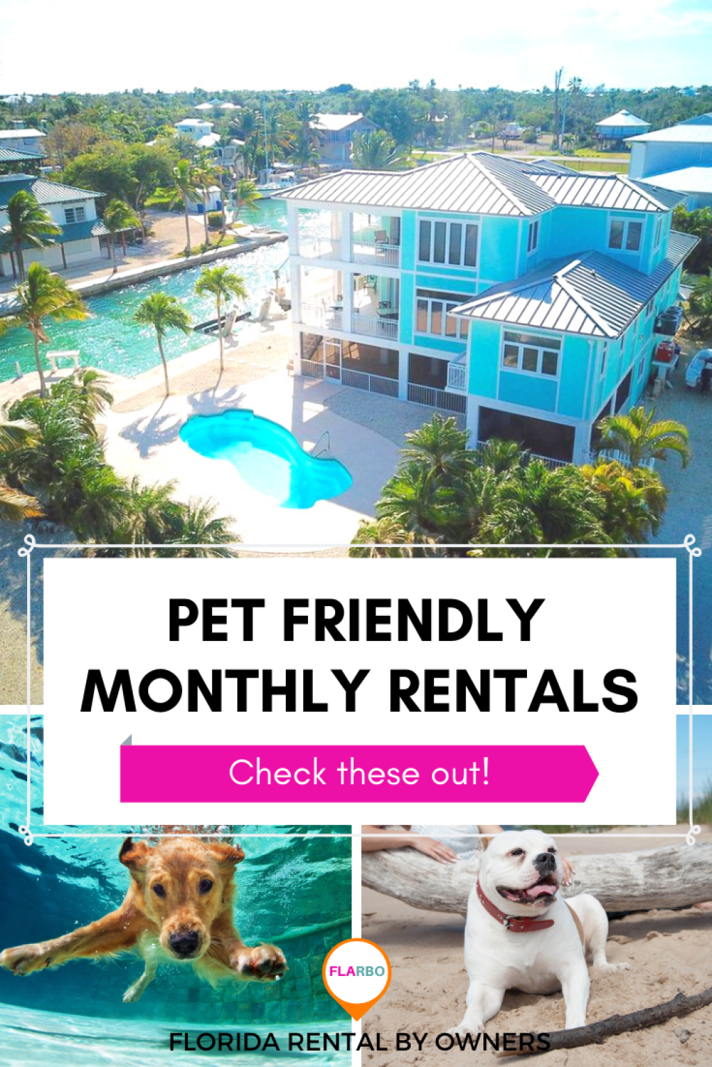 Picture of: The Best Pet-Friendly Monthly Rentals in Florida  Florida Rental