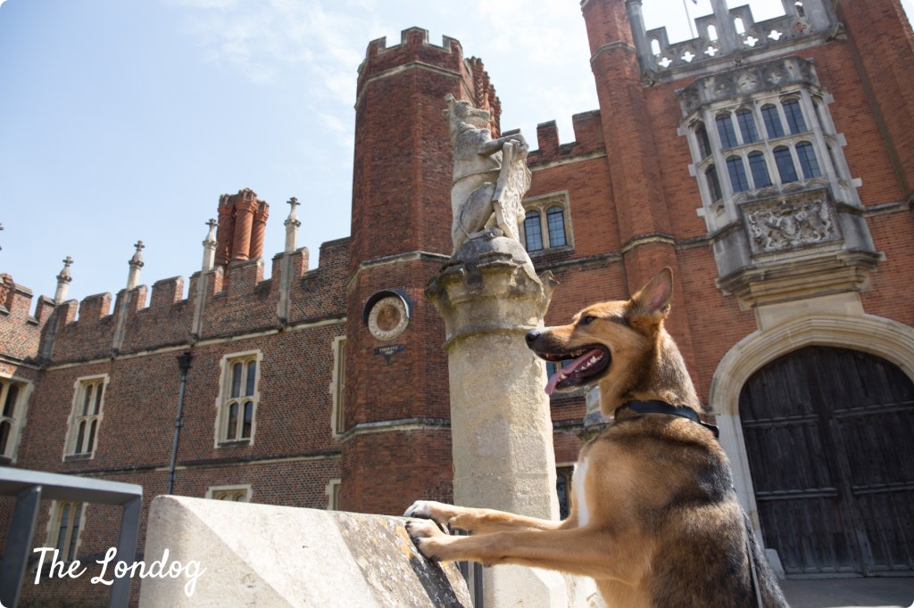 Picture of: With dogs at Hampton Court Palace: tips for a day out – The Londog